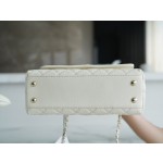 CHANEL 𝑪𝒐𝑪𝒐 𝒉𝒂𝒏𝒅𝒍𝒆 New Cowhide Handle Small Beige