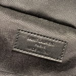 SAINT LAURENT  𝙑𝙖𝙣𝙞𝙩𝙮 𝘾  #669560.JD