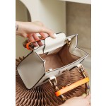 GUCCI 𝐃𝐢𝐚𝐧𝐚 𝐌𝐢𝐧𝐢 #655661