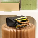 GUCCI  𝐃𝐢𝐚𝐧𝐚 𝐌𝐢𝐧𝐢 #655661