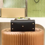 GUCCI  𝐃𝐢𝐚𝐧𝐚 𝐌𝐢𝐧𝐢 #655661