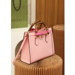 GUCCI I𝐃𝐢𝐚𝐧𝐚 小号#660195