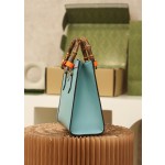 GUCCI I𝐃𝐢𝐚𝐧𝐚 小号#660195