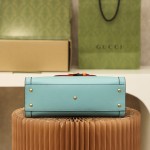 GUCCI I𝐃𝐢𝐚𝐧𝐚 小号#660195