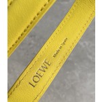 LOEWE cubi full leather lunch box bag