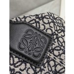 LOEWE cubi bento bag