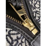 LOEWE cubi bento bag