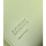 LOEWE Heel duo series