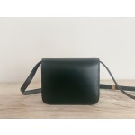 𝐂𝐞𝐥𝐢𝐧𝐞 Box Teen bag in polished calfskin