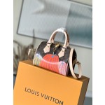 𝐋𝐎𝐔𝐈𝐒 𝐕𝐔𝐈𝐓𝐓𝐎𝐍  M46469