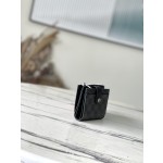 𝐋𝐎𝐔𝐈𝐒 𝐕𝐔𝐈𝐓𝐓𝐎𝐍  N60451