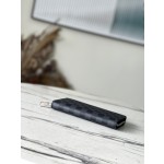 𝐋𝐎𝐔𝐈𝐒 𝐕𝐔𝐈𝐓𝐓𝐎𝐍    N41661