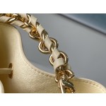 𝐋𝐎𝐔𝐈𝐒 𝐕𝐔𝐈𝐓𝐓𝐎𝐍     M22599