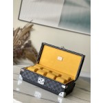 𝐋𝐎𝐔𝐈𝐒 𝐕𝐔𝐈𝐓𝐓𝐎𝐍     N48194