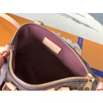 𝐋𝐎𝐔𝐈𝐒 𝐕𝐔𝐈𝐓𝐓𝐎𝐍  M61253