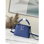 𝐋𝐎𝐔𝐈𝐒 𝐕𝐔𝐈𝐓𝐓𝐎𝐍    N93163