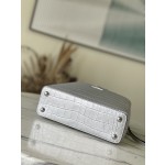 𝐋𝐎𝐔𝐈𝐒 𝐕𝐔𝐈𝐓𝐓𝐎𝐍   N93163