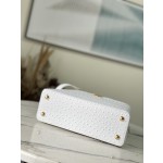 𝐋𝐎𝐔𝐈𝐒 𝐕𝐔𝐈𝐓𝐓𝐎𝐍    M95393