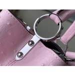 𝐋𝐎𝐔𝐈𝐒 𝐕𝐔𝐈𝐓𝐓𝐎𝐍    M95393