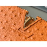 𝐋𝐎𝐔𝐈𝐒 𝐕𝐔𝐈𝐓𝐓𝐎𝐍    M95393