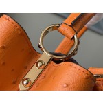 𝐋𝐎𝐔𝐈𝐒 𝐕𝐔𝐈𝐓𝐓𝐎𝐍    M95393