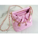 𝗖𝗛𝗔𝗡𝗘𝗟✦ 23p mini 22bag Little Lucky Bags