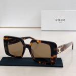 CELINE🌟🌟🌟MODEL:CL50121F
