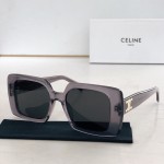CELINE🌟🌟🌟MODEL:CL50121F