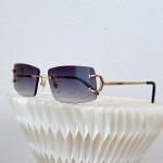 Cartier-CT0093