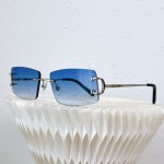 Cartier-CT0093