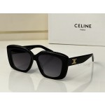 celine：CL4S216U