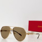 Cartier✨✨✨MODEL：CT0303S