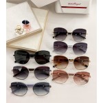 Salvatore ferragam* Ferragam 💚💚💚MODEL: SF304S