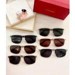 Cartier MODEL：CT0322S