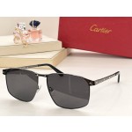 Cartier MODEL：CT0322S