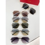 Cartier MODEL：CT0388S