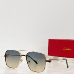 Cartier MODEL：CT0388S