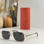 Cartier  Mod：CT0383S