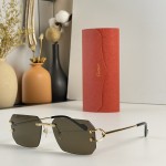 Cartier  Mod：CT0383S