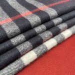 Burberry Classic Check Scarf