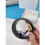 "DIOR" belt