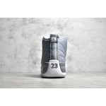 Air Jordan 12 "Stealth" AJ12 Joe 12 Cool Grey