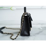 𝗖𝗛𝗔𝗡𝗘𝗟✦ France 🇫🇷 original [HAAS] fine grain calfskin 🐂 𝟮𝟮k Postman Tofu Bag Black Gold