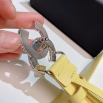 𝗖𝗛𝗔𝗡𝗘𝗟 belt