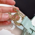 𝗖𝗛𝗔𝗡𝗘𝗟 belt