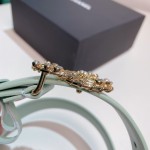 𝗖𝗛𝗔𝗡𝗘𝗟 belt