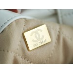 𝗖𝗛𝗔𝗘𝗡𝗟✦ 23P Spring Summer New Backpack Small Platinum➿