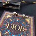 Dior Tassel Long Stud Earrings