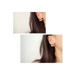 Dior AB drill earrings