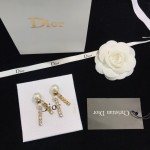 Dior stud earrings